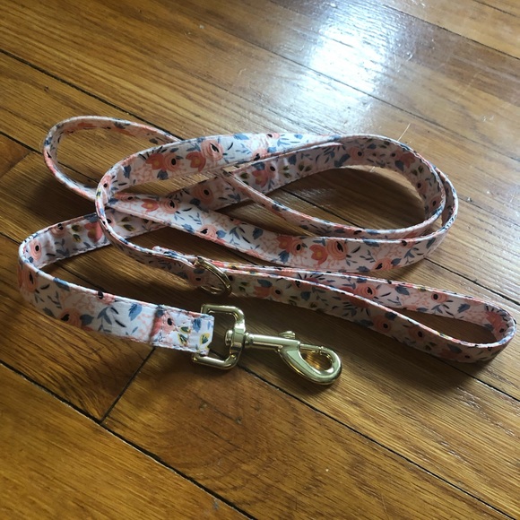 Beirui Cute Girl Dog Collars, Harnesses & Leashes Set - Size XS - Picture 5 of 10